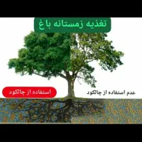 هرس و تمامی خدمات باغداری|خدمات باغبانی و درختکاری|داراب, |دیوار