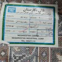 فرش ماشینی 12متری|فرش|قم, انسجام|دیوار