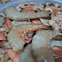 ماهی و میگو جنوب