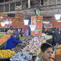 نیروی کار میوه فروشی کار بلد