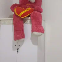 عروسک ، خرس بزرگ، شاسخین