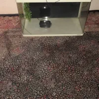 اکواریوم شیشه خم  شرکتی ماهیران