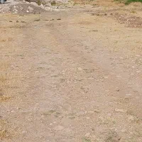 زمین مسکونی