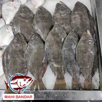 انواع خوشمزه ترین و تازه ترین ماهی های جنوب عمده|ماهی|تهران, فاطمی|دیوار