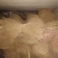 جارو محلی|لوازم نظافت|نیشابور, بنیاد شهید|دیوار