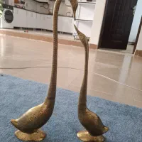 دو عدد قو جفت