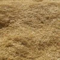 کاه