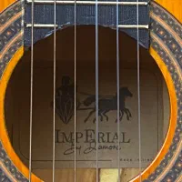 گیتار|گیتار، بیس، امپلیفایر|تهران, دولاب|دیوار