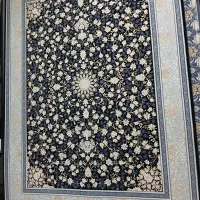 ۷۰۰ شانه۵۴۰روزه ببر با روزی۹۰هزار پولم نمیخواد مهر