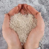 خرید فروش عمده برنج