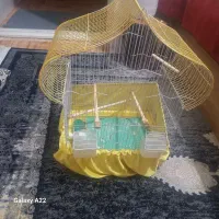 قفس پرنده  کولبی بزرگ