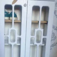 جاکفشی سالم