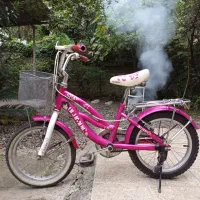 دوچرخه ۱۶ رنگ صورتی