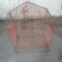 قفس پرنده