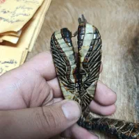 تسبیح هسته خرما حکاکی عقاب|بدلیجات|ارومیه, |دیوار