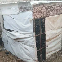 لانه توری بزرگ و محکم|لوازم جانبی حیوانات|بروجرد, |دیوار