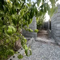 باغچه ۳۱۴ متری،دارای آب/۱ دقیقه ای جاده اصلی|فروش زمین و ملک کلنگی|شهریار, شهریار|دیوار