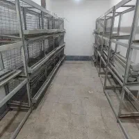 قفس مرغ تخمگذار