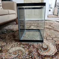 آکواریوم شیشه خام|ماهی|سنندج, |دیوار