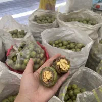 گردو تویسرکان مستقیم از باغدار
