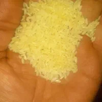 برنج عنبر بو درجه یک جدید مال امسال