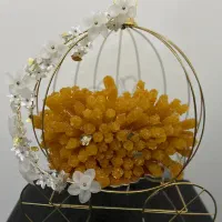 استند شاخه نبات عقد