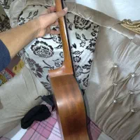 گیتار پارسی درحد|گیتار، بیس، امپلیفایر|کلاله, |دیوار