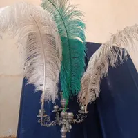پر علامت 180