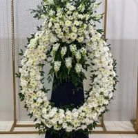 تاج گل ترحیم .دسته گل ترحیم .وغیره|گل و گیاه طبیعی|یزد, |دیوار