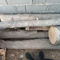 فروش چوب مخصوص نجاری