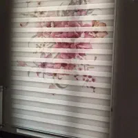 پرده زبرا