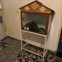 اکواریوم با تعدادی وسایل