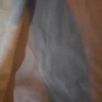 موکت
