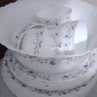 سرویس ۶ نفره  ارکوپال