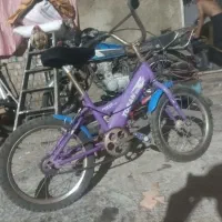 تعداد دوچرخه بفروش می رسد باقیمت مناسب|دوچرخه، اسکیت، اسکوتر|گنبد کاووس, |دیوار