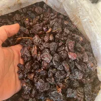 بار تاکستان