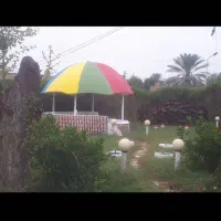 چراغ باغ ویلا