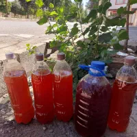 آبغوره به صورت عمده وجزیی