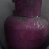 دوعدد پکنیک فروشی