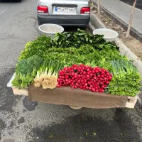 سبزی دسته ای گلاله