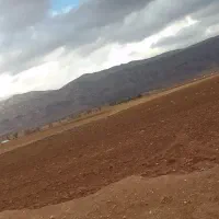 تحویل کود حیوانی با نیسان سر زمین