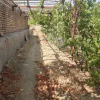 فروش عمارت در مهدی آباد نزدیک مشهد اردهال کاشان|فروش خانه و ویلا|دلیجان, |دیوار