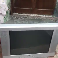 تلویزیون