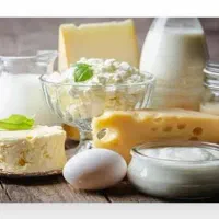 لبنیات تازه