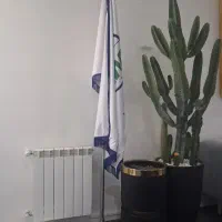 کارشناس IT