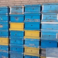 فروش کندو عسل ، طبق و شربت خوری