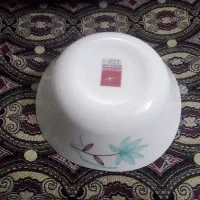 آرکوپال گل نیلوفر پلو خورش درحد نو جهیزیه با کارتن|ظروف سرو و پذیرایی|ری, علایین|دیوار