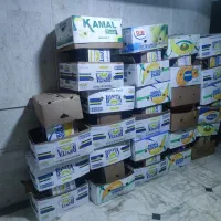 ۴۲ عدد کارتن موز سالم، یکجا