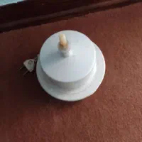 دینام ابمیوه گیری ژاپنی