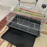 قفس پرنده با لوازم